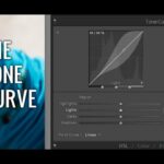 Mastering the Tone Curve: A Quick 5-Minute Guide to Transform Your Photos