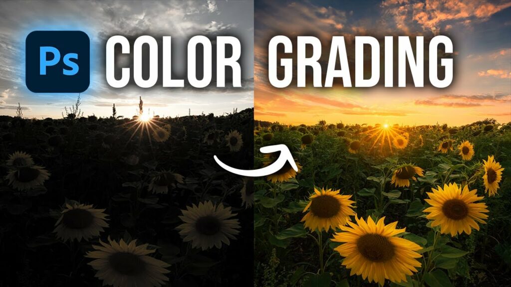 Elevating Visual Storytelling: A Comprehensive Guide to Color Grading 